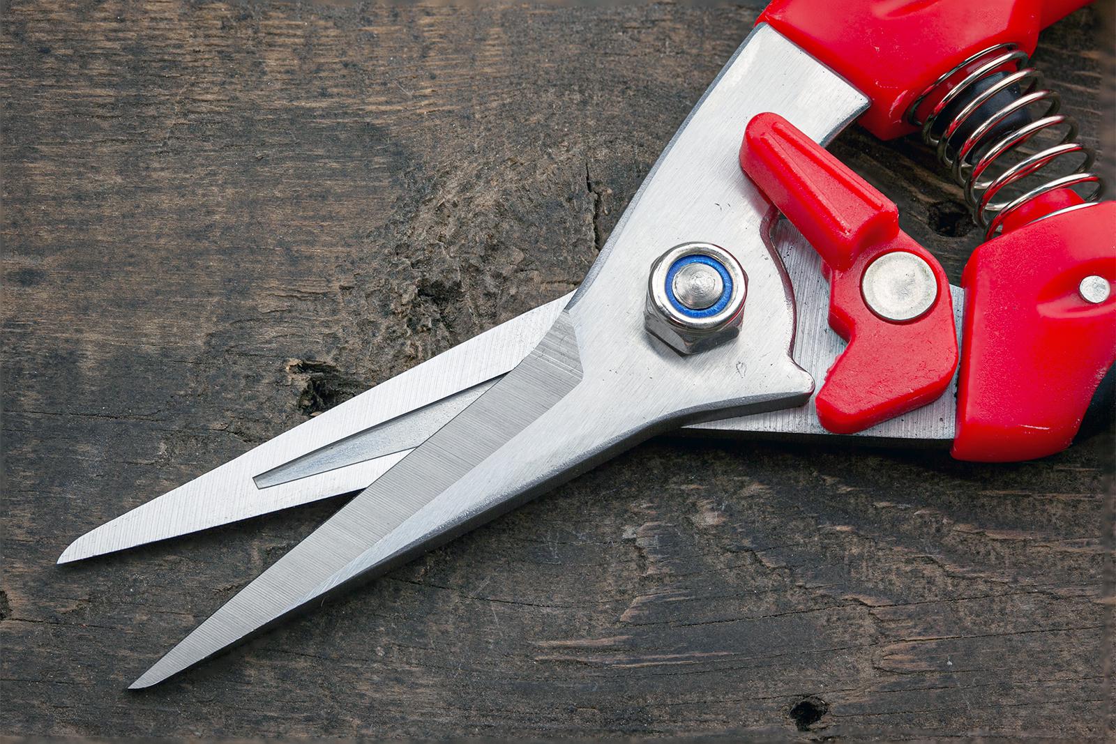 Секатор-ножиці садові Sagawata з нержавіючої сталі 200 мм (P-712) - фото 8 Секатор-ножиці садові Sagawata з нержавіючої сталі 200 мм (P-712) - фото 8