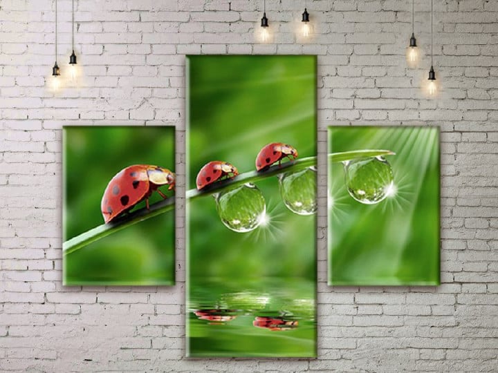 Картина модульная ArtStar Божья коровка ADNA0174 150х180 см 3 части