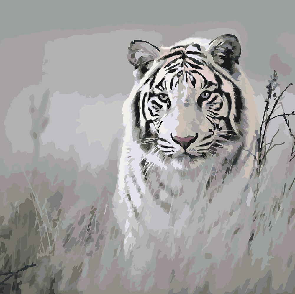 Картина по номерам Идейка Хищный взгляд 40x40 см (skl-КНО4000)