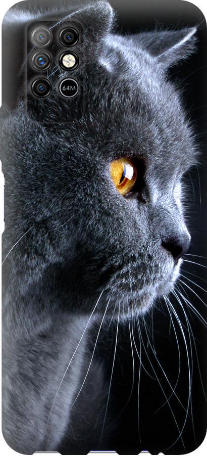 Чехол на Infinix Note 8 Красивый кот (3038u-2710-42517)