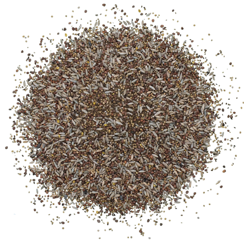 Смесь семян сидератов осенняя 1 кг (27715128) - фото 2