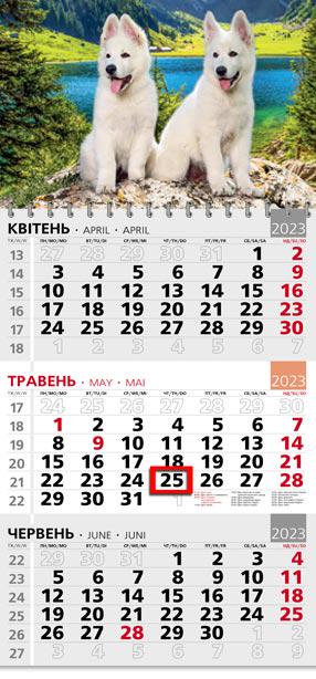 Календарь квартальный офисный 3 Щенки на природе