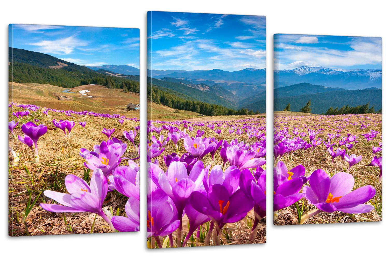 Модульная картина в гостиную /спальню Горный Шафран 70х130 см (Art-658_3)