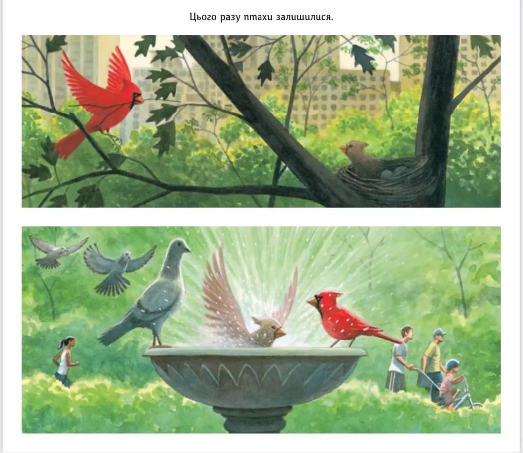 Дитяча книга Абрикос "Жеврик і Жаринка" - фото 4 Дитяча книга Абрикос "Жеврик і Жаринка" - фото 4