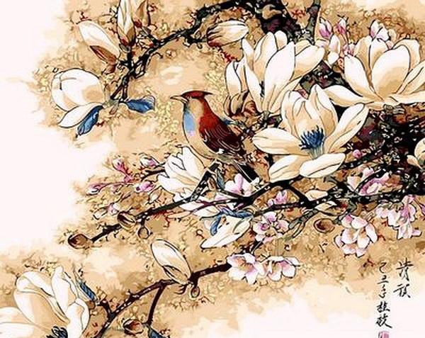 Картина по номерам Mariposa Королек птичка певчая 40х50 см (MR-Q418)