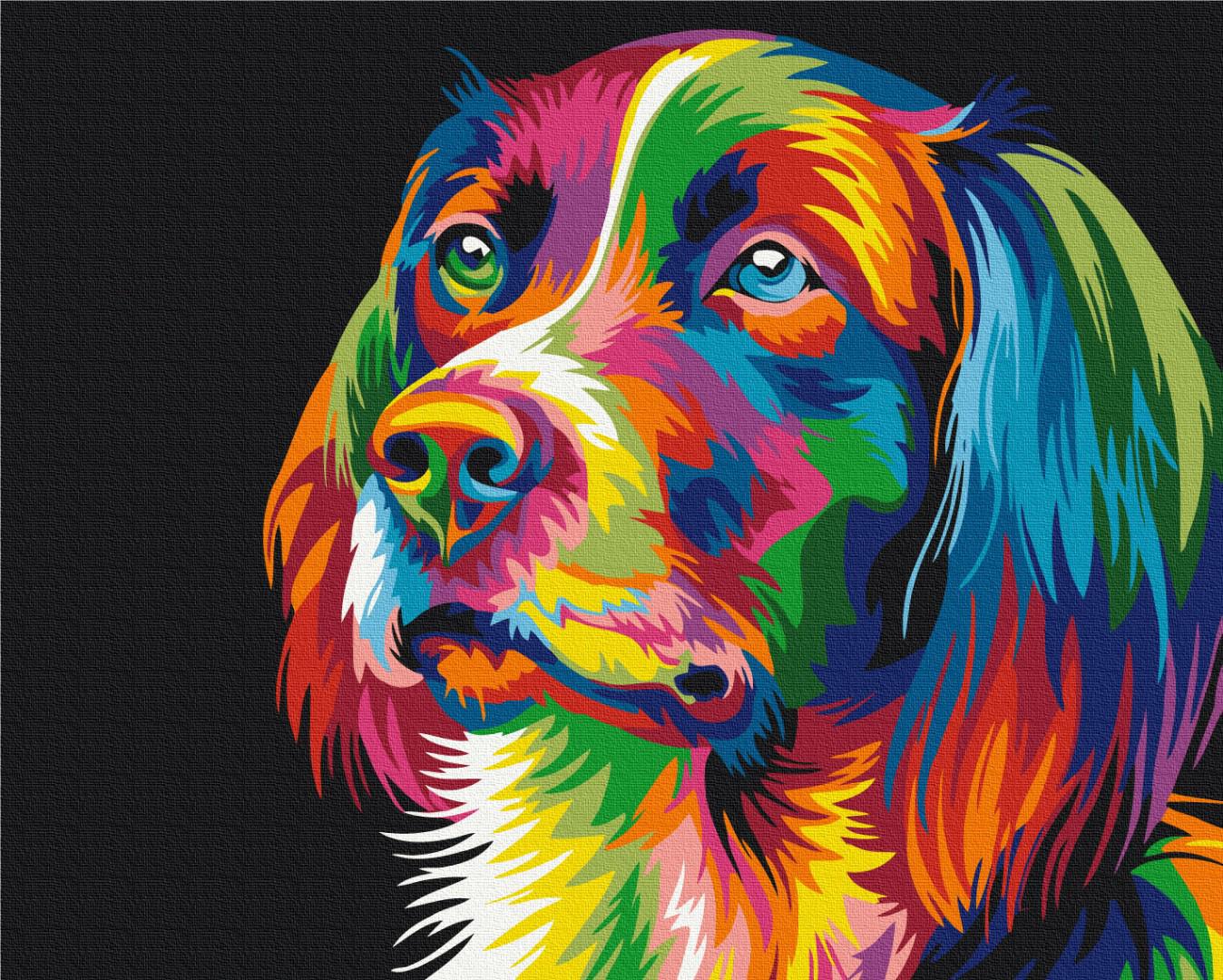 Картина по номерам Brushme Премиум Радужная собака 40x50 см (PBS5251)