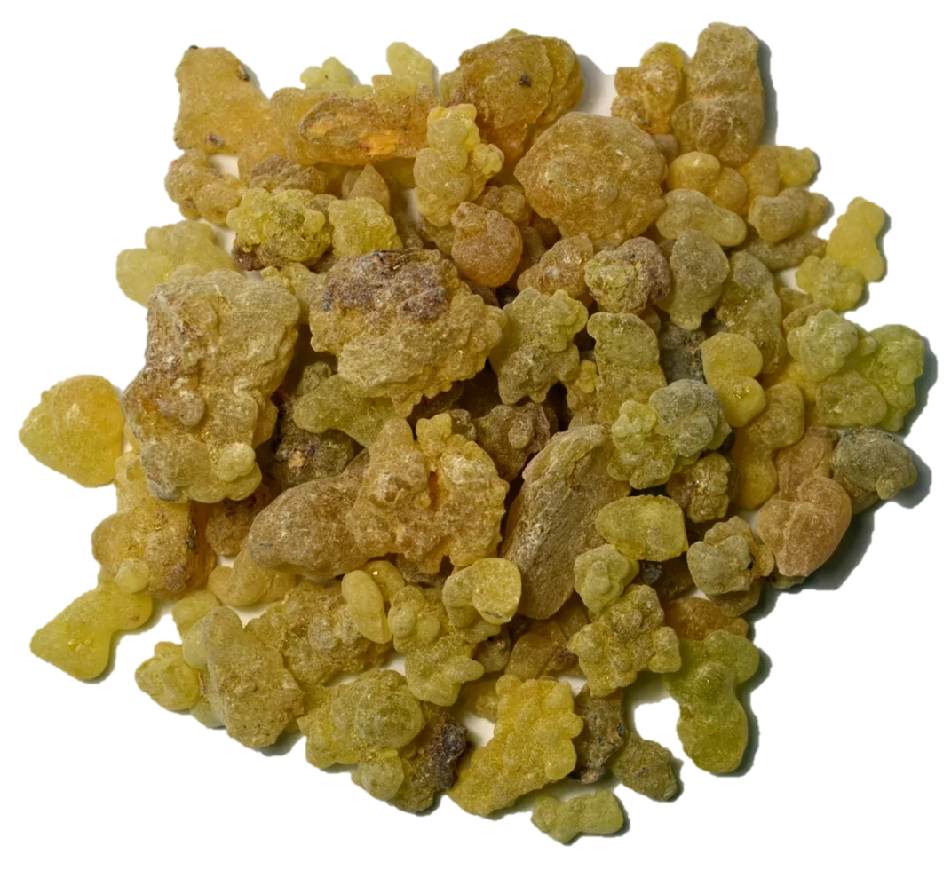 Натуральная смола ладан Олибанум 1 кг (14425/1) - фото 2 Натуральная смола ладан Олибанум 1 кг (14425/1) - фото 2