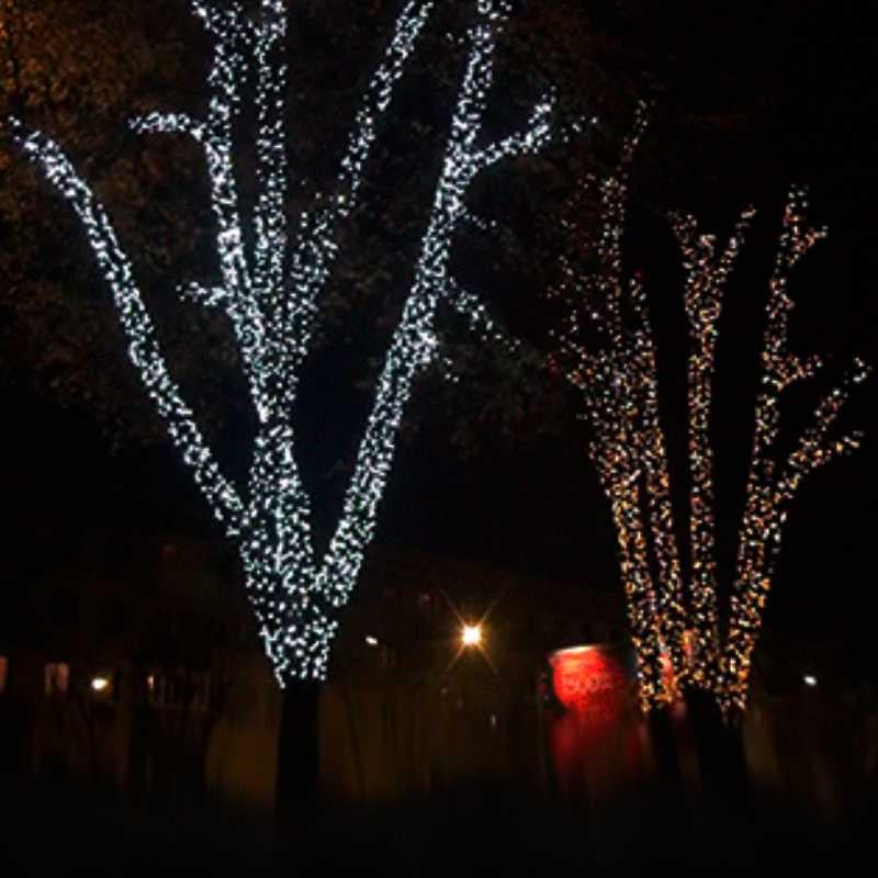 Гирлянда внешняя Wrapper Premium 50LED 5 м 10flash IP65 свет белый/холодный белый - фото 3 Гирлянда внешняя Wrapper Premium 50LED 5 м 10flash IP65 свет белый/холодный белый - фото 3