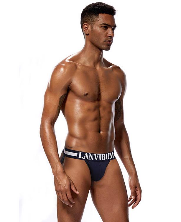 Трусы Lanvibum XL Темно-синий (4517)