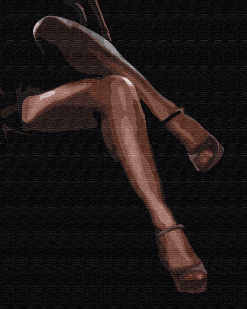 Картина по номерам Brushme Грациозная страсть 40x50 см (BS52462)