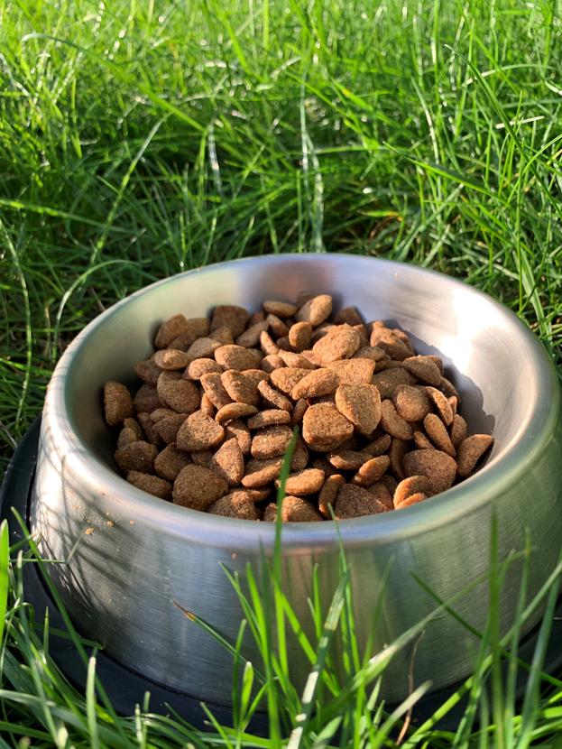 Корм сухой для собак всех пород Пан Пес Чемпион с курицей 10 кг (4820111140275) - фото 2 Корм сухой для собак всех пород Пан Пес Чемпион с курицей 10 кг (4820111140275) - фото 2