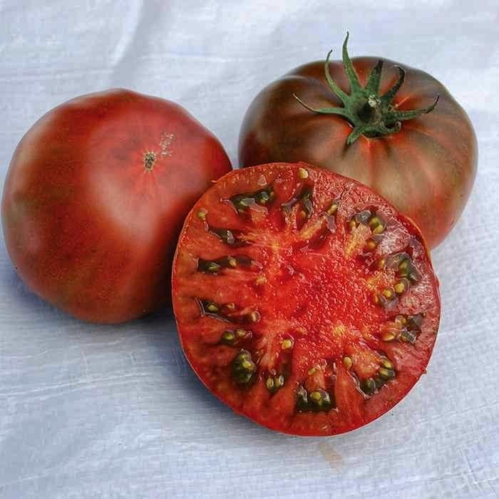 Семена томата Большой вождь 5 шт./5 пак (38290904)