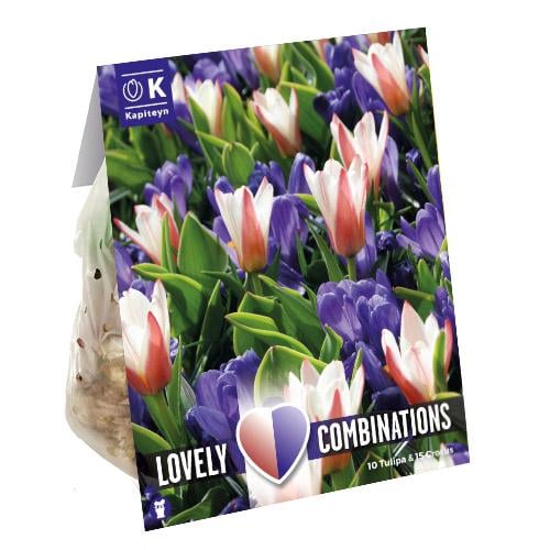 Комбо тюльпаны Florium Striped и Крокусы Blue брендовые луковицы Kapiteyn (18260)