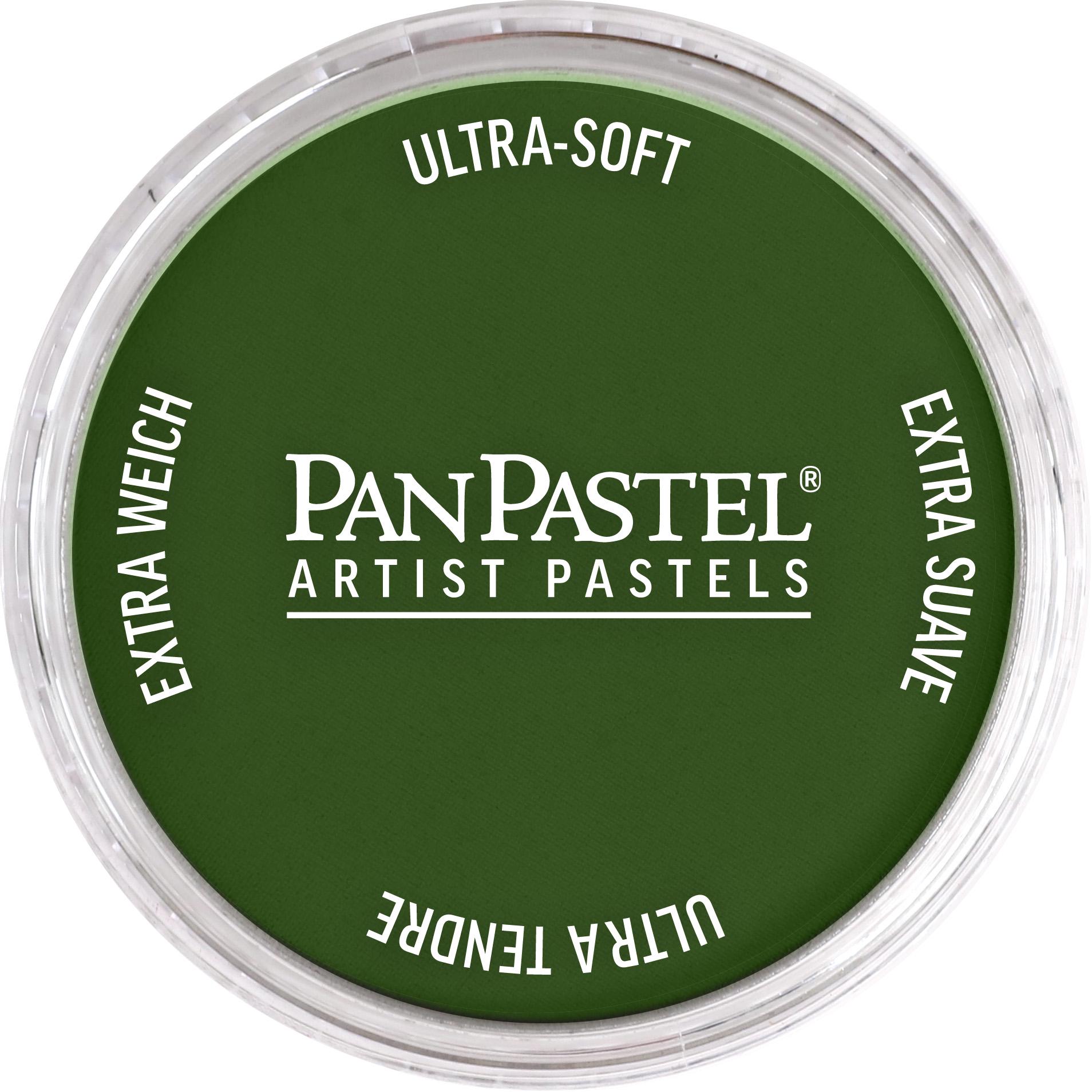 Пастель художня PanPastel 660.5 Chromium Oxide Green 9 мл (28769583)