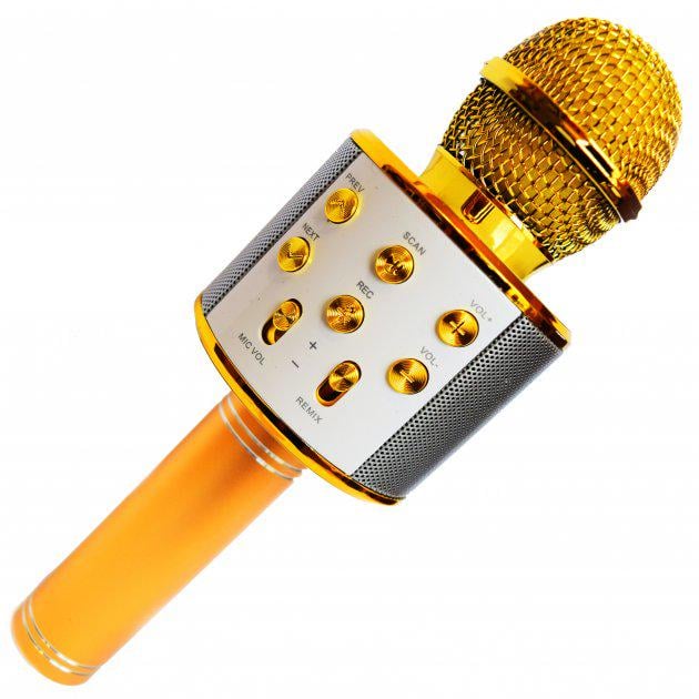 Колонка микрофон DM Karaoke WS 858 Золото (35394-2)