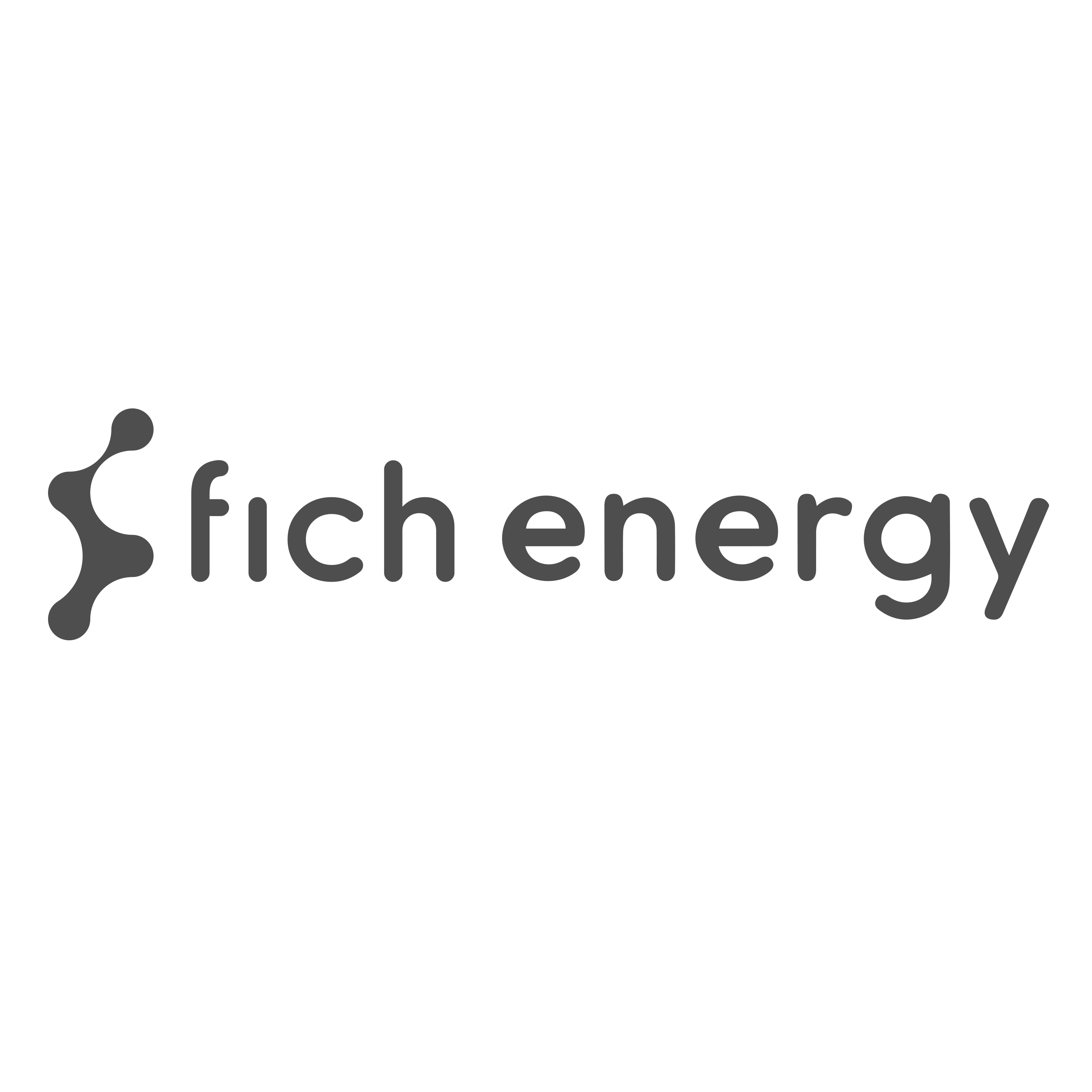Fich Energy