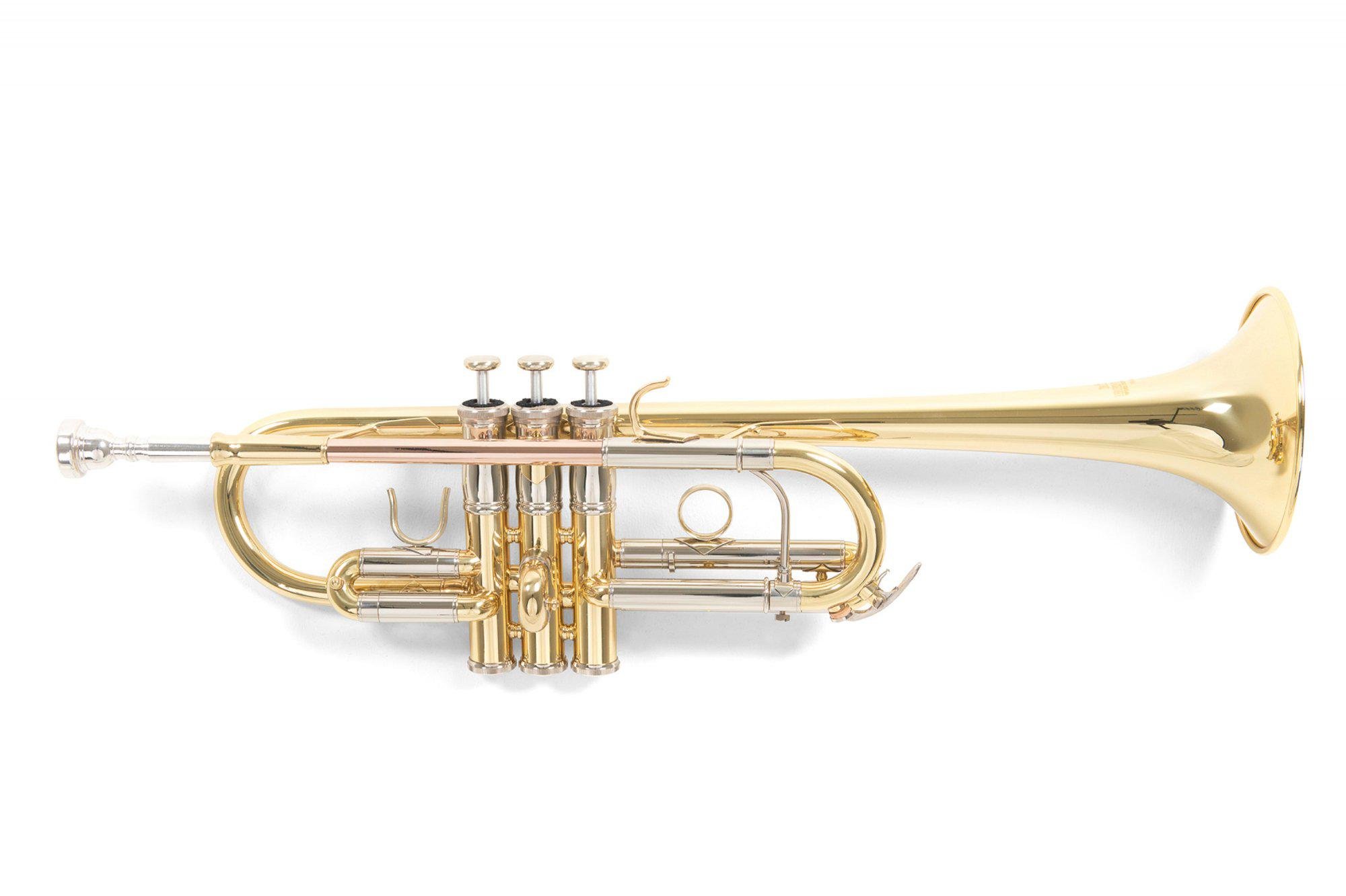 Труба Roy Benson TR-402C C-Trumpet латунь (G-RB701088)