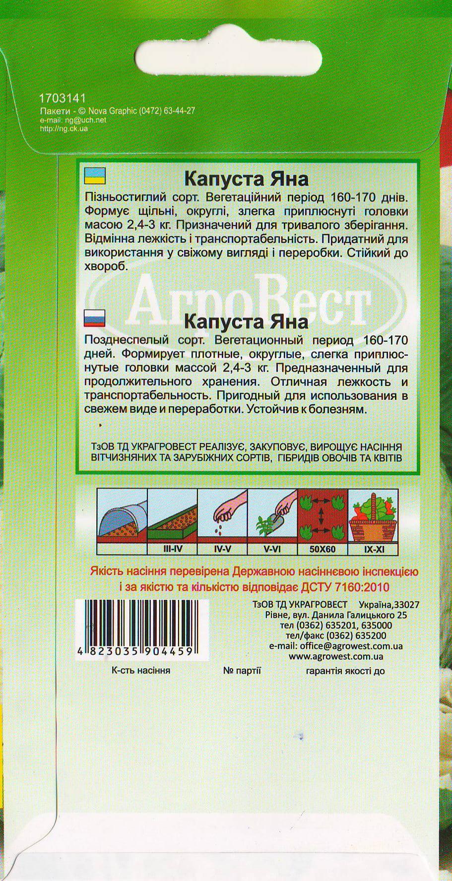 Насіння АгроВест капуста білоголова Яна 1 г (22141) - фото 2 Насіння АгроВест капуста білоголова Яна 1 г (22141) - фото 2