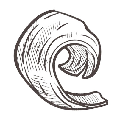 Carpenter