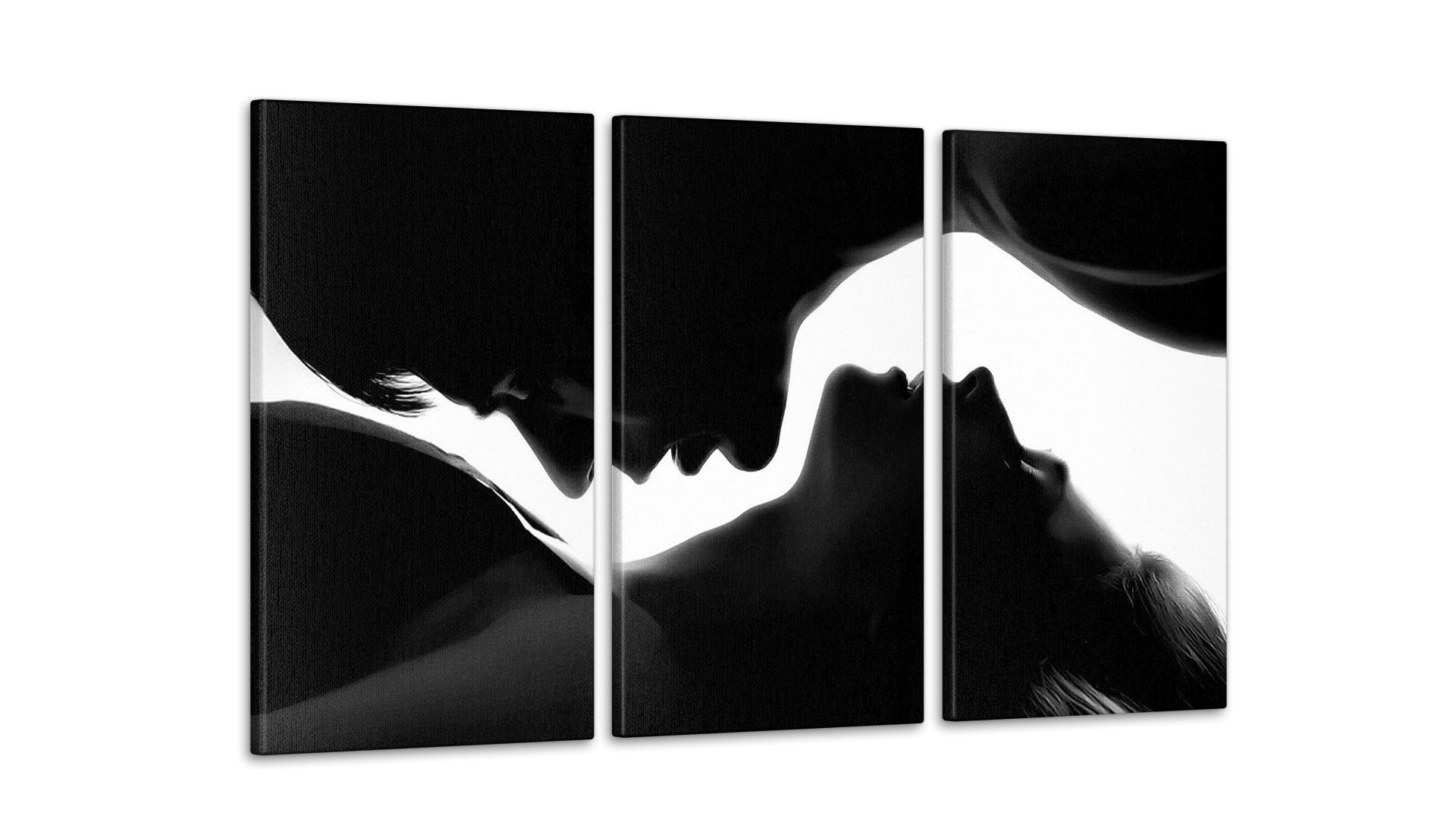 Модульная картина Страсть 53x100 см (Art-152_3А)