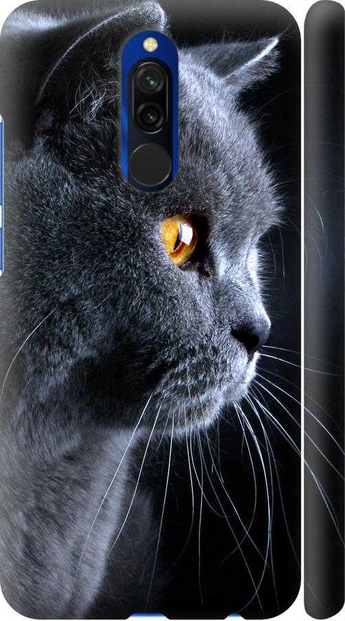 Чехол на Xiaomi Redmi 8 Красивый кот (3038m-1806-42517) Чехол на Xiaomi Redmi 8 Красивый кот (3038m-1806-42517)