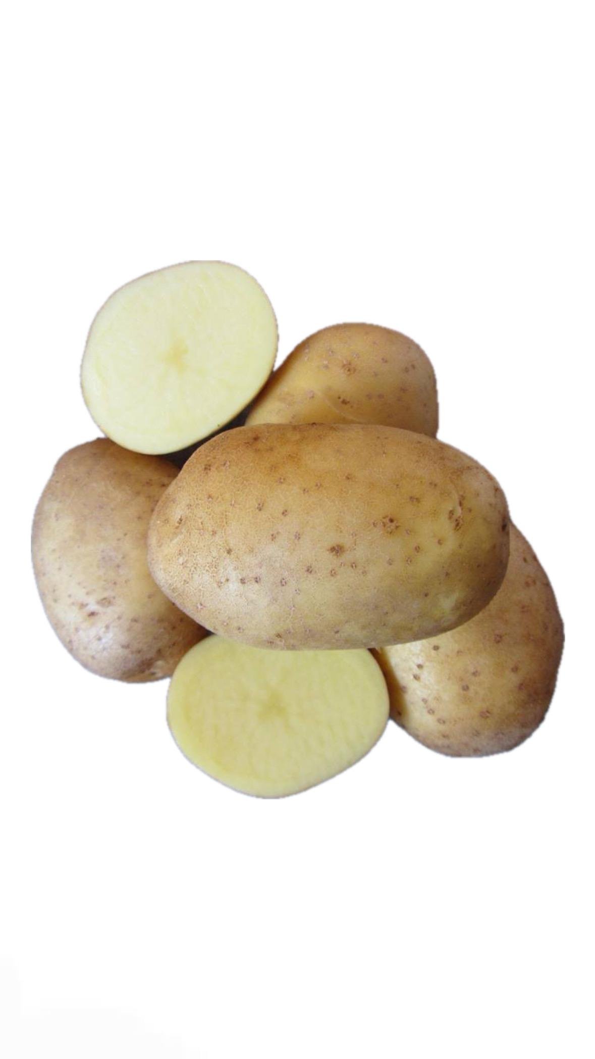 Семенной картофель Тайфун 5 кг (25252499)