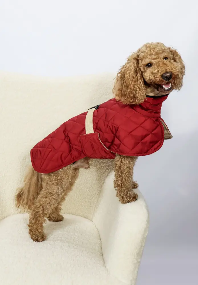 Жилет Dogs Bomba стежка двосторонній Марсала (G-113/11)