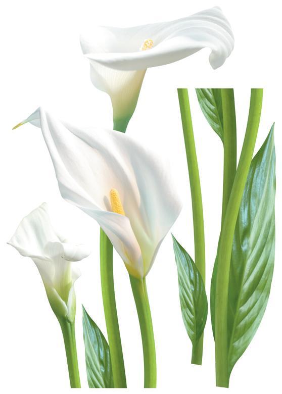 Декоративная наклейка Арт-Декор 3 Калы 50х70 см (2000000535609)