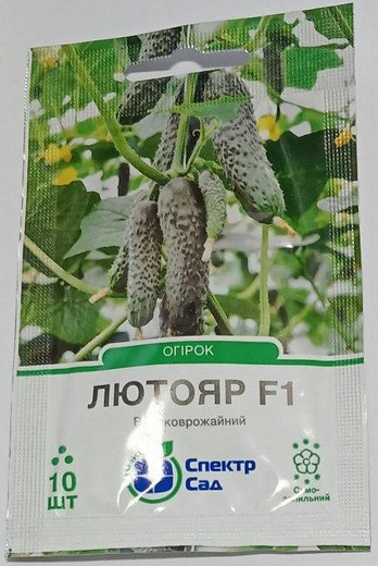 Насіння Огірок корнішон Лютояр F1 партенокарпічний 10 насінин ультраранній