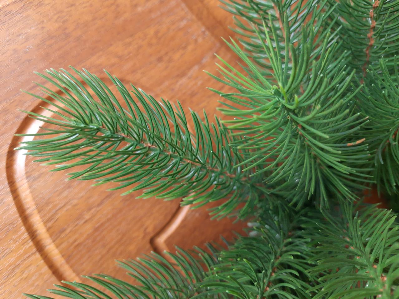 Хвойна гірлянда лита SGX Буковельська 1 м Зелений (1494622294) - фото 4 Хвойна гірлянда лита SGX Буковельська 1 м Зелений (1494622294) - фото 4