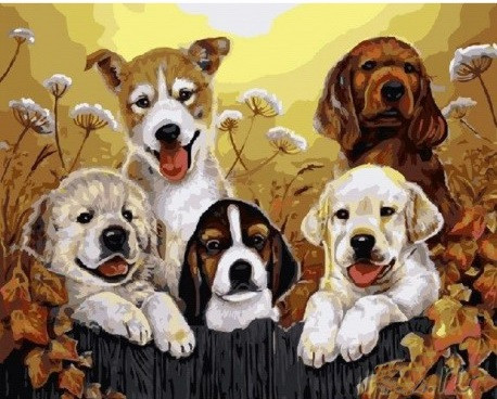 Картина по номерам Brushme Щенята (GX5604)