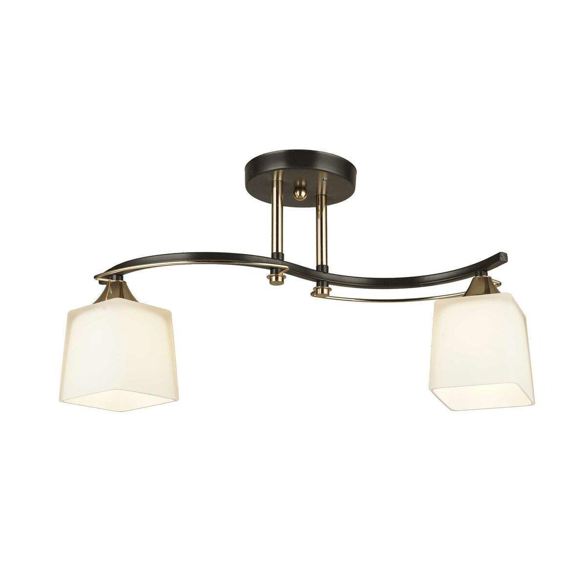 Люстра потолочная на два плафона B N4474/2 COFFE/FGD Sirius