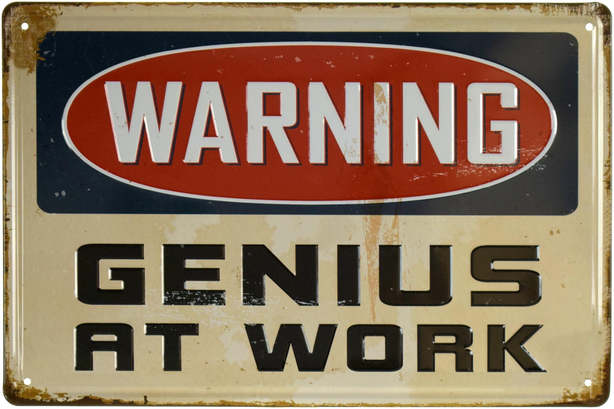 Табличка металлическая Гений За Работой/Genius At Work 20x30 см