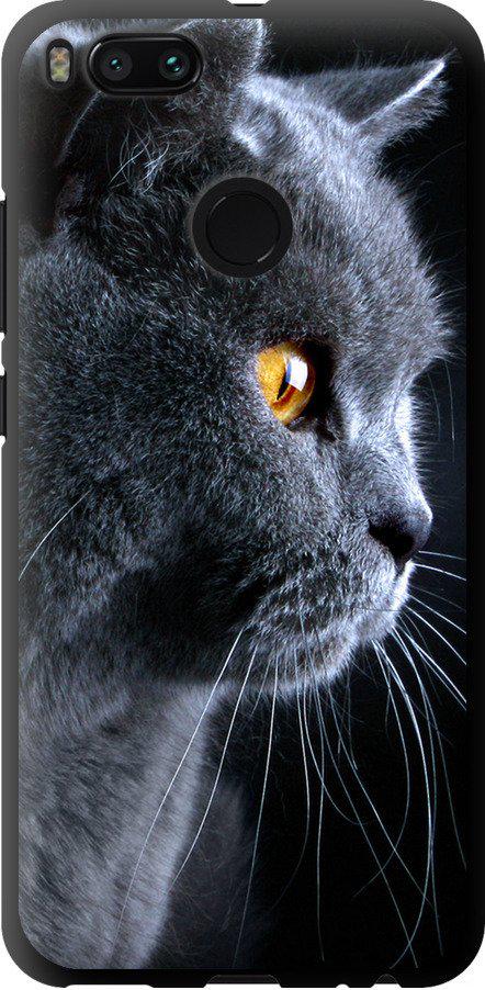 Чехол на Xiaomi Mi A1 Красивый кот (3038b-1132-42517)