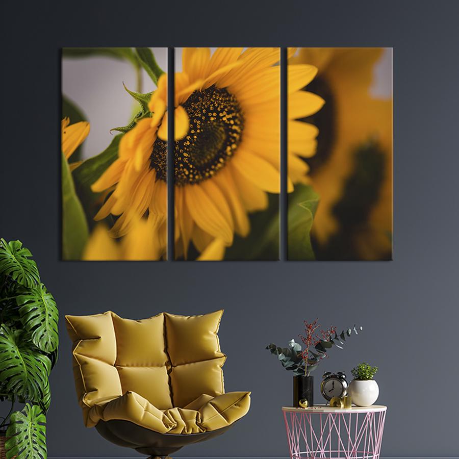 Картина на холсте триптих Красивый цветок подсолнуха 128x81 см (961-31)