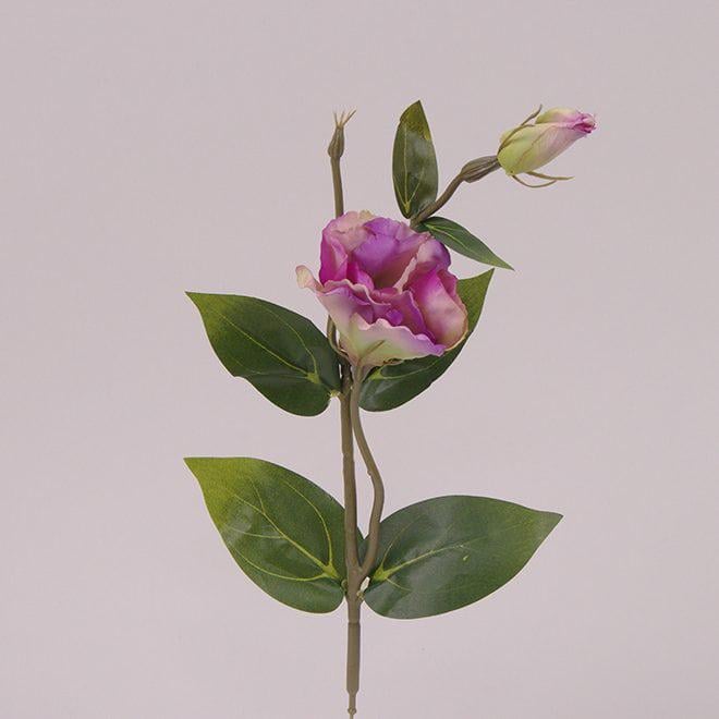 Цветок Эустома Flora 12 шт. Фиолетовый (72060)