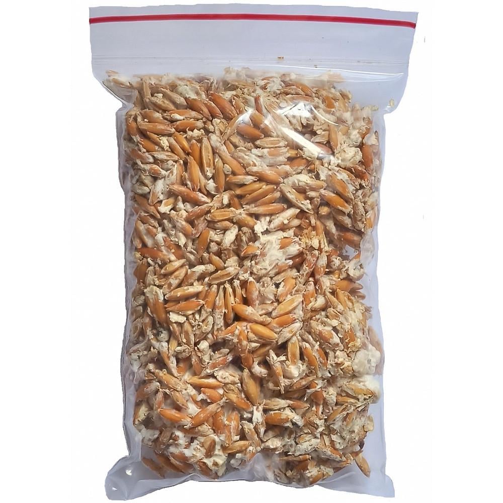 Мицелий вешенки живой зерновой Насіння країни 100 г (1275329527)