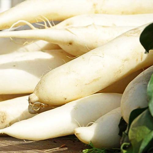 Семена Редька Florium Дайкон Florium (4229) - фото 3 Семена Редька Florium Дайкон Florium (4229) - фото 3