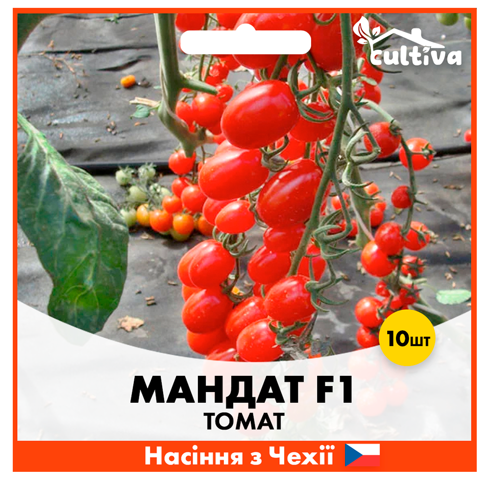 Семена томата Beste Kern Мандат F1 10 шт. (T3)