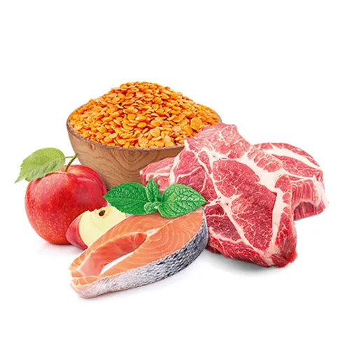 Корм сухой Home Food For Sterilised/Neutered With Sensitive Digestion Ягненок и лосось 200 г (11586864) - фото 2