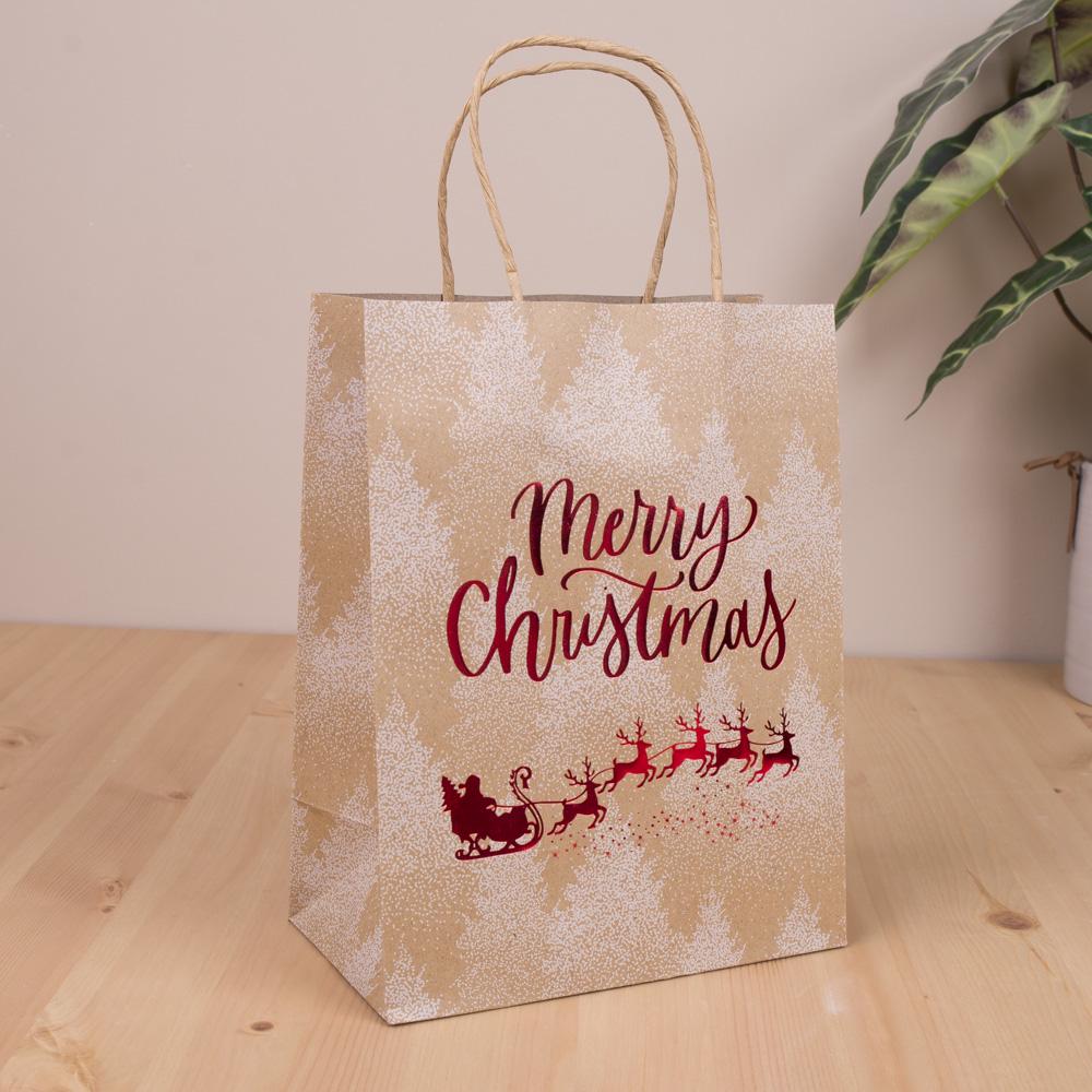 Подарочный пакет крафт микс Merry christmas 23х18х9 см (1042-7)