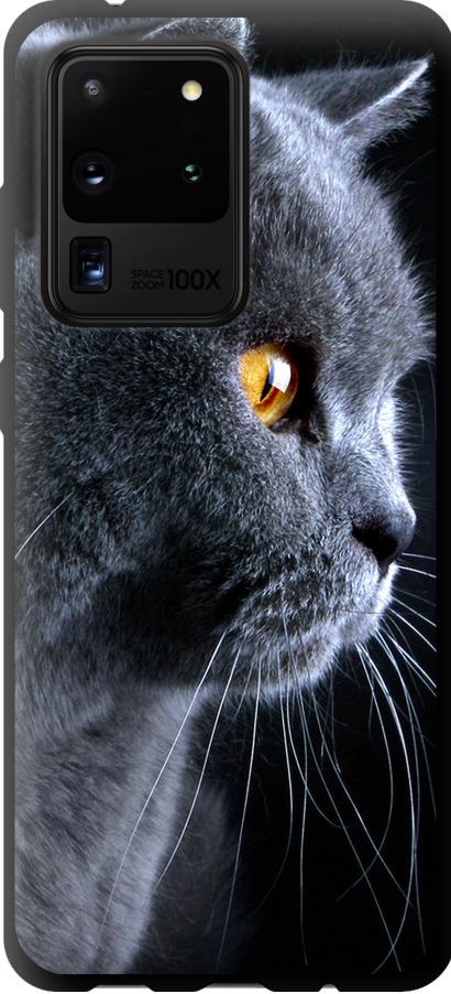 Чехол на Samsung Galaxy S20 Ultra Красивый кот (3038b-1831-42517)