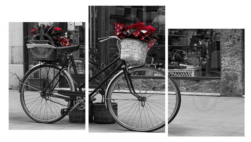 Модульная картина Декор Карпаты 100х53 см Велосипед (M3-t159)