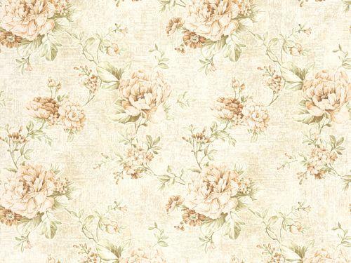 Шпалери паперові Слов'янські шпалери Божена 712604 0,53x10,05 м Бежевий (4824033203360) Шпалери паперові Слов'янські шпалери Божена 712604 0,53x10,05 м Бежевий (4824033203360)
