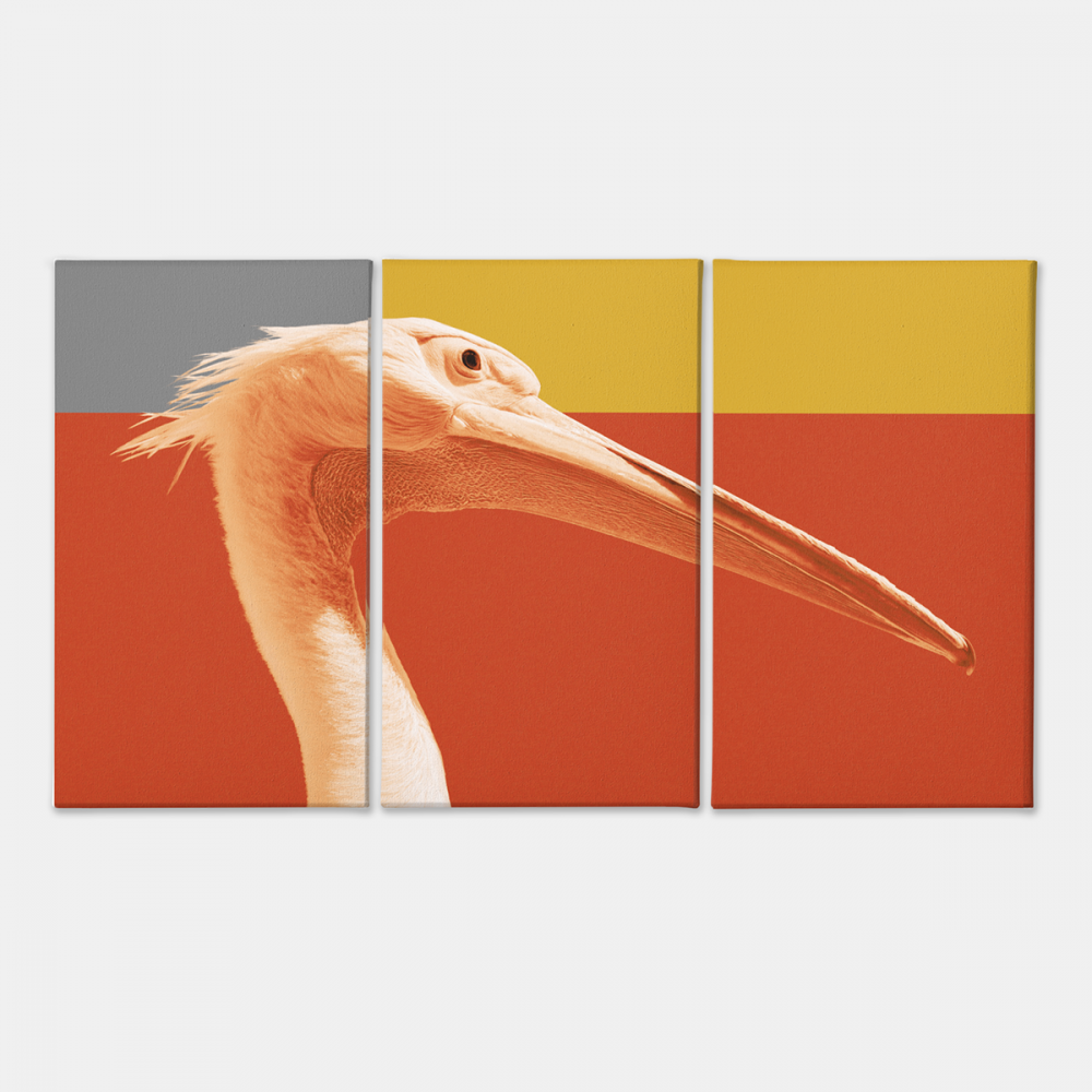 Картина модульная Malevich Store Пеликан из трех частей 96x60 см (MK311600)