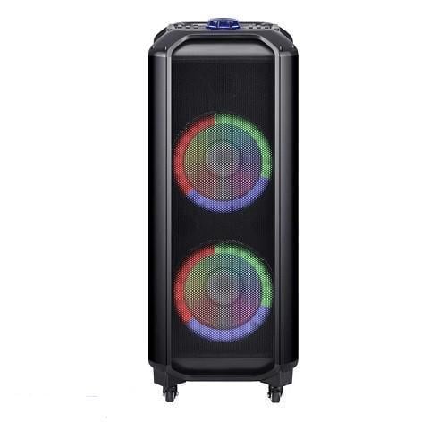 Система акустическая HS-TD1010 с двумя микрофонами