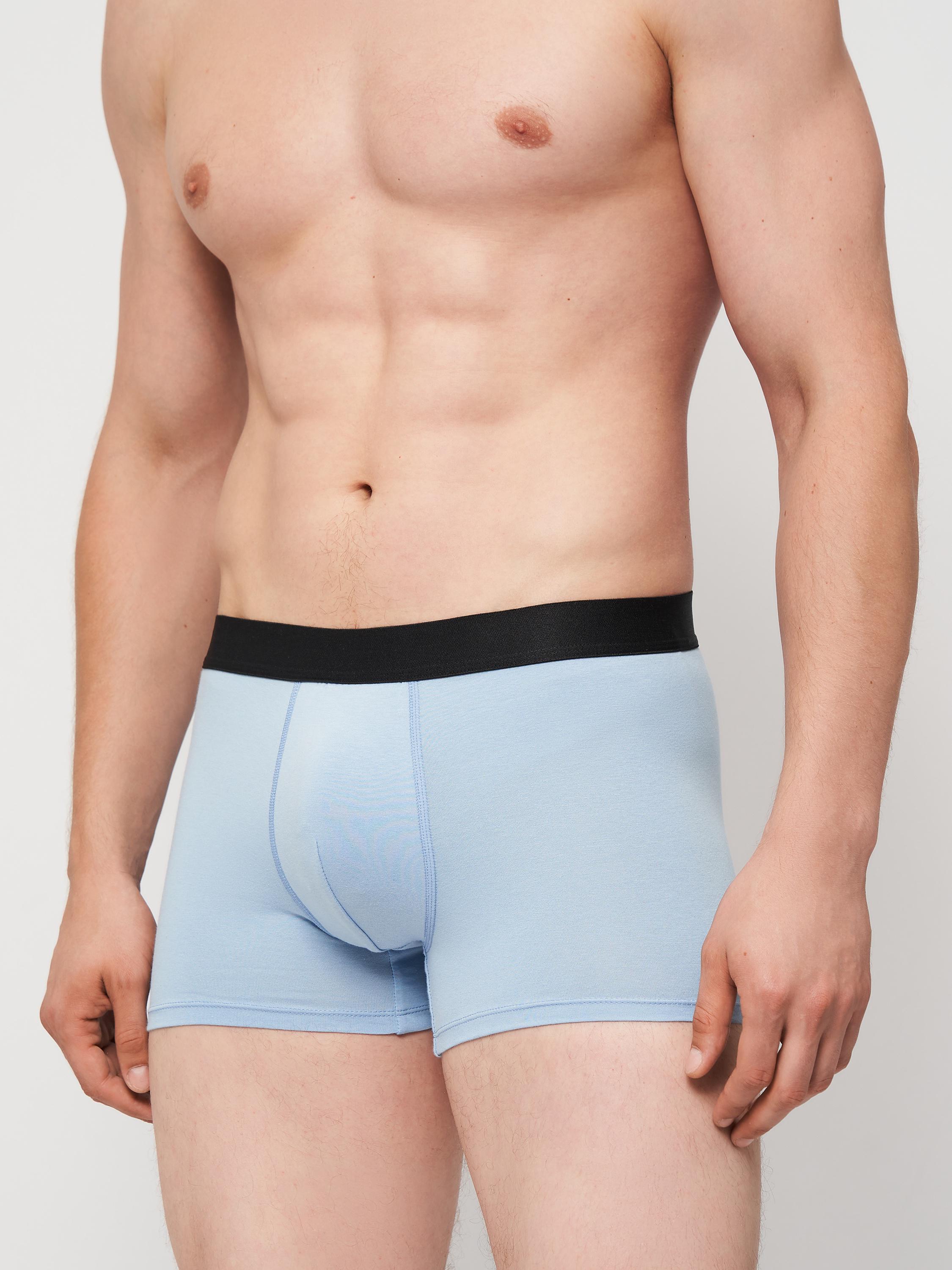 Трусы-боксеры мужские ROZA 250108 S Серо-голубой (4824005734656)