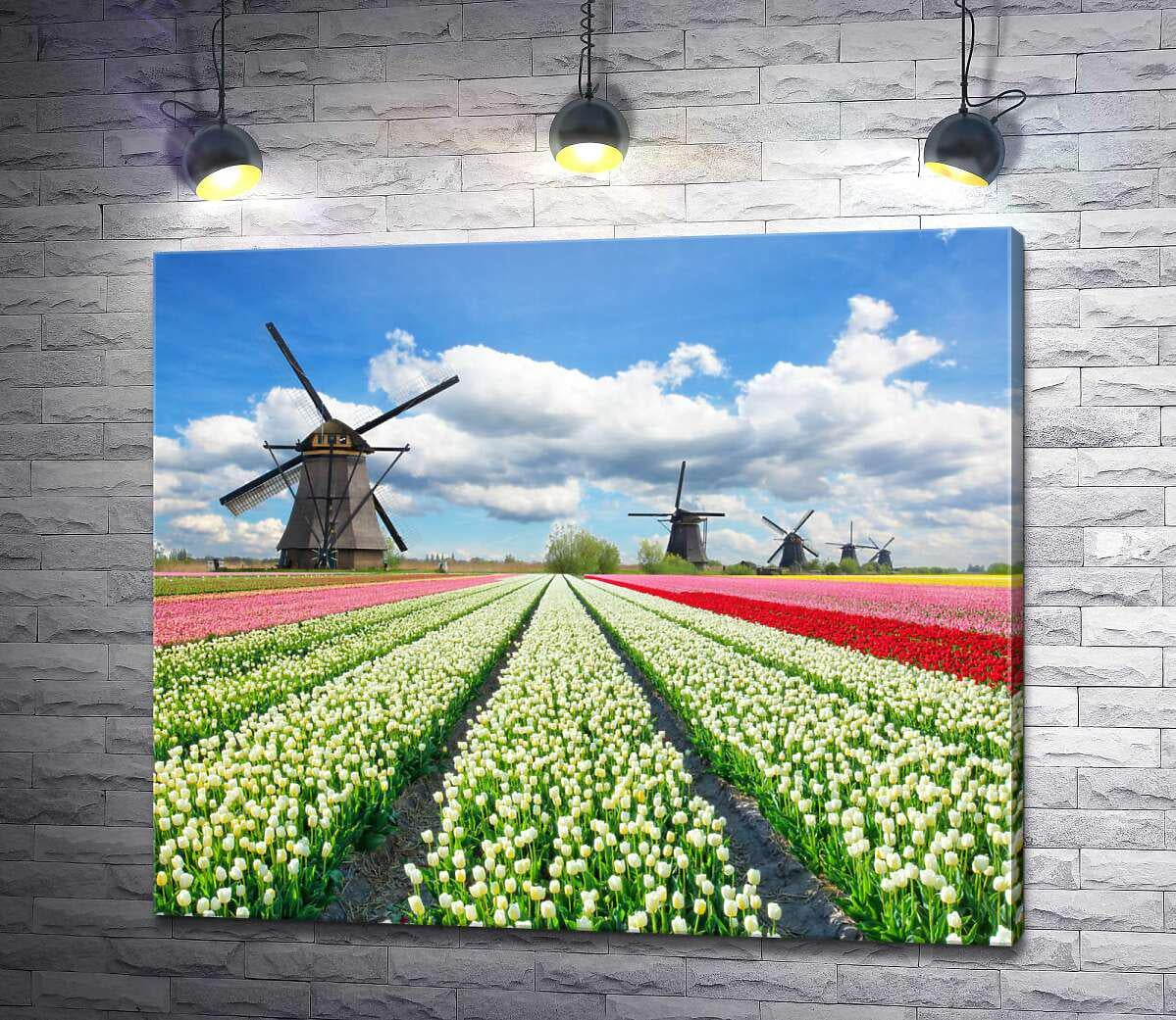 Картина ArtPoster Пестрые поля тюльпанов Голландии 50x42 см Модуль №1 (004324)