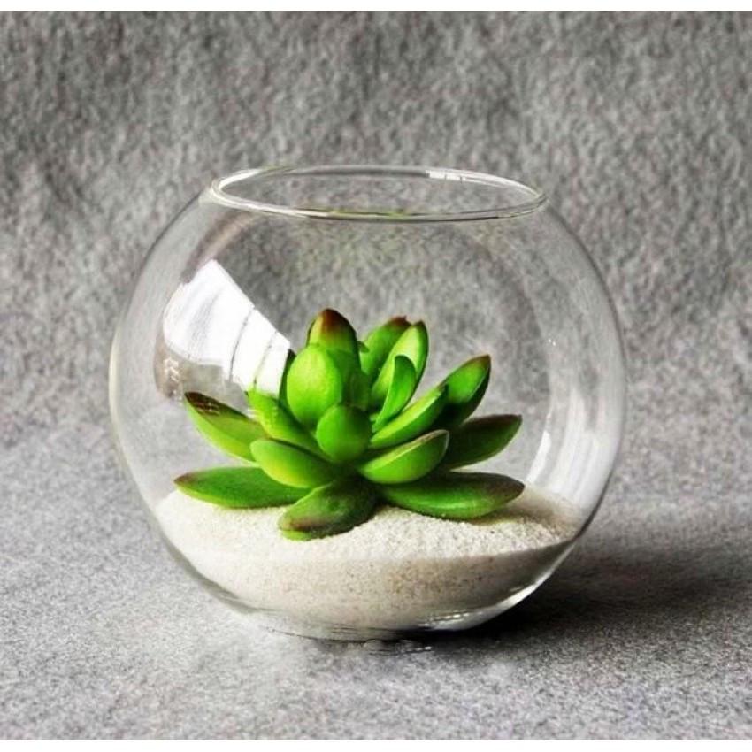 Ваза-шар Mazhura Aquarium 006 MZ BR d 22 см 19 см 5,5 л (1403128258) - фото 3 Ваза-шар Mazhura Aquarium 006 MZ BR d 22 см 19 см 5,5 л (1403128258) - фото 3