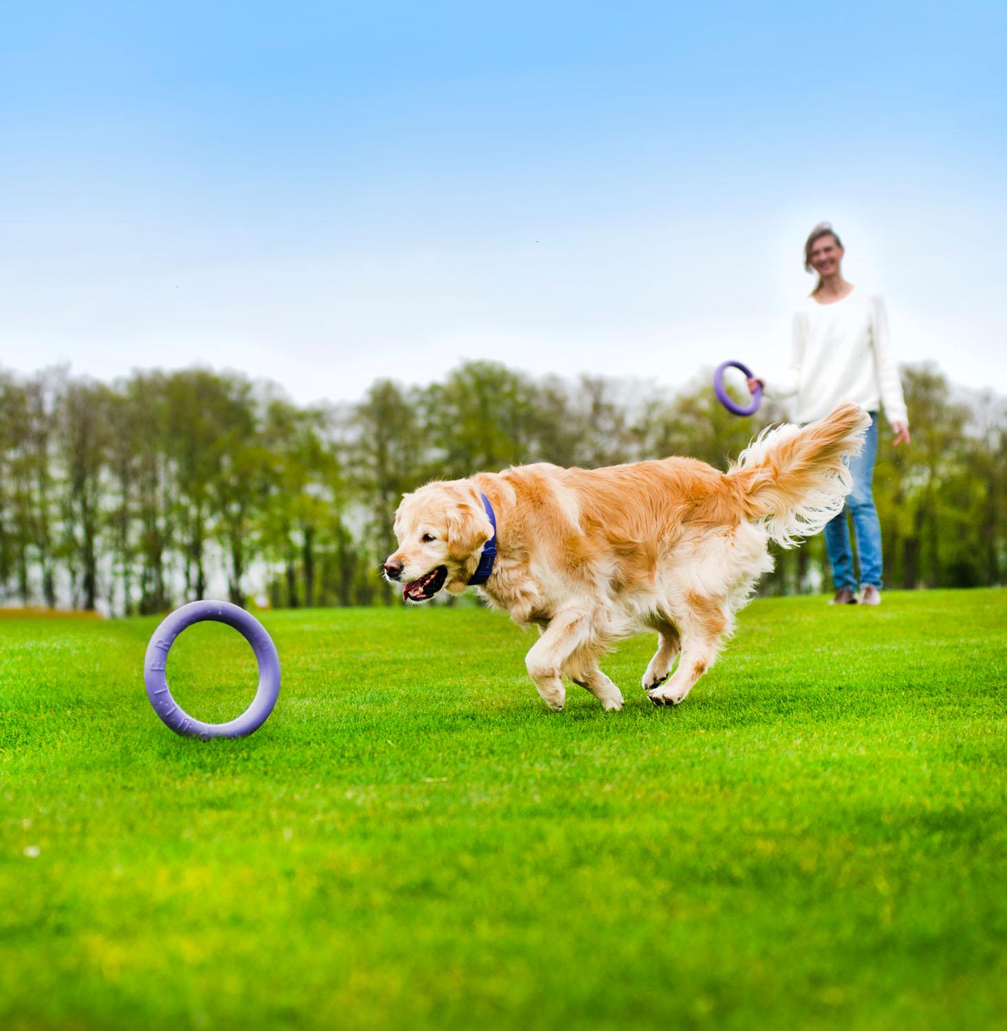 Тренувальний снаряд для собак Puller Standard 28 см (6490) - фото 24